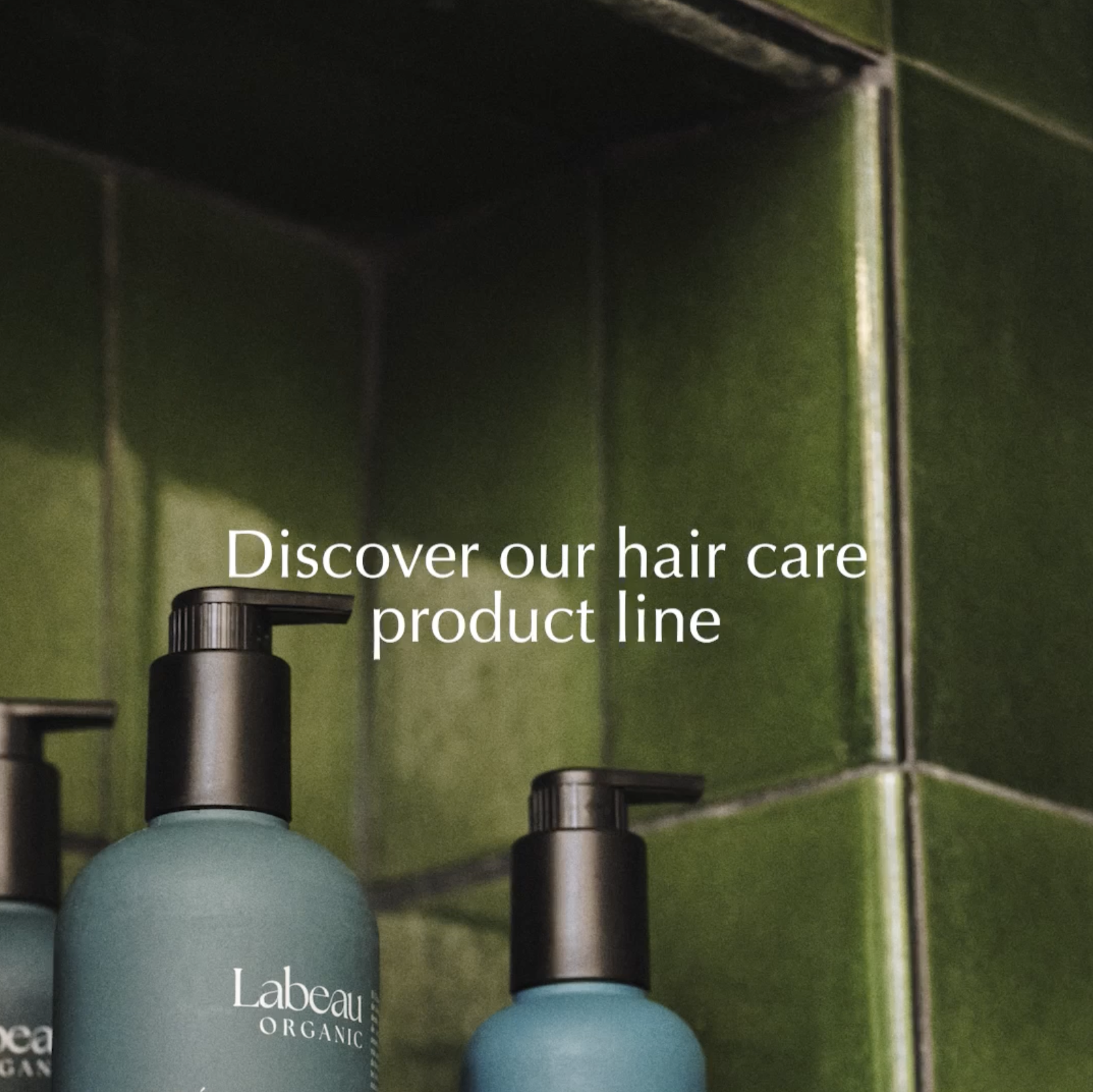 Image of primary brand logo